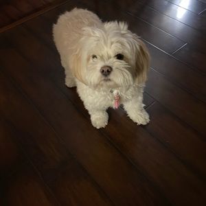 Meet your Posher, Roselyn